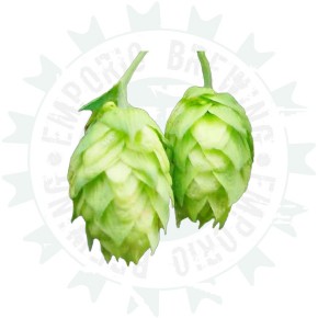 LUPPOLO T90 HALLERTAU...