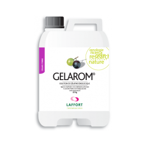 GELAROM-BIDON 1.050 KG