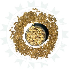 MALTO DINGEMANS WEIZEN 25 KG