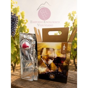 Bag in Box 5 L- Sacca Vino...