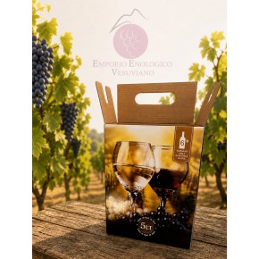 BOX 5 lt PREFUST. GRAFICA...