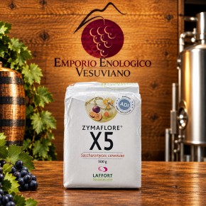 ZYMAFLORE X5 500 GR