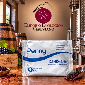 PENNY DAMIGIANE 1 PZ
