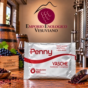 PENNY VASCHE CONF. 1 PZ