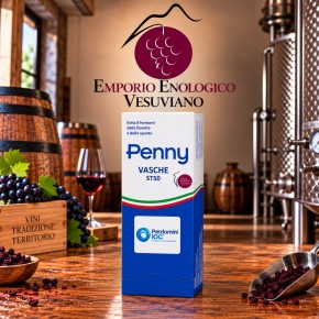 PENNY VASCHE 50 PZ