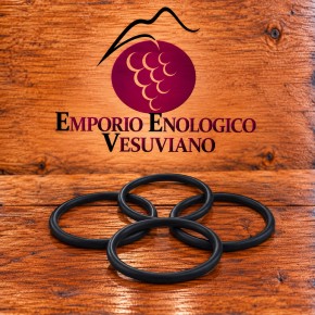 O RING RULLO TRAINO NASTRO D28